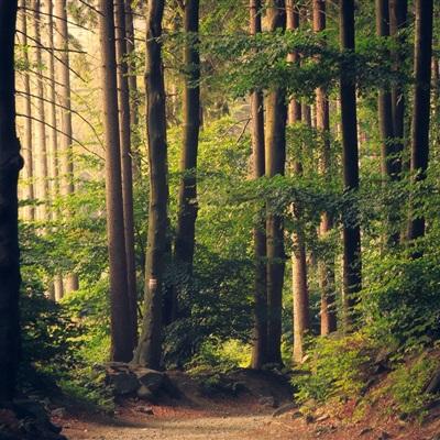 m6米乐官方入口app下载苹果