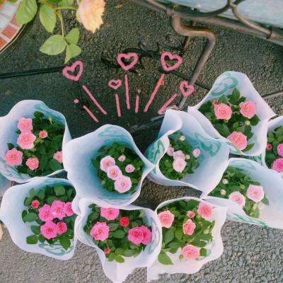 开云·体育(kaiyun)手机app下载