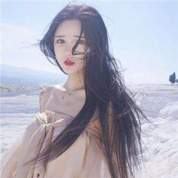 加拿大pc软件平台下载手机版